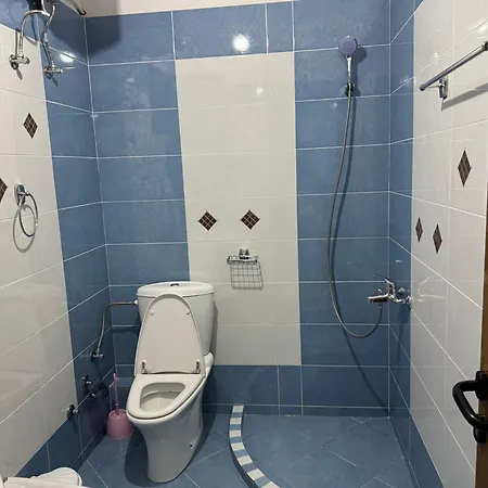 Elmir Apartament's בית הארחה *